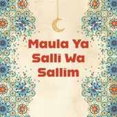 Maula Ya Salli Wa Sallim (Qasida Burda Sharif) artwork
