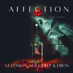 Affection (feat. Nollow & Good_Knightt)