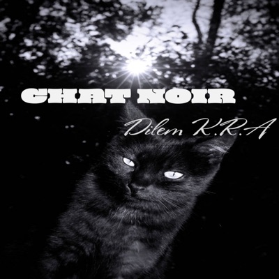 Chat noir - Single