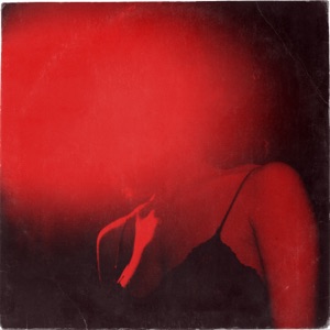 Pretty Red Dress (feat. Shilpa Ray & Matt Bauder) - Single