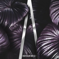 Unutulur Her Şey - Single - RockA