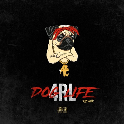 4RL DogLife (feat. Starring) - Single