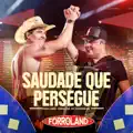 Eric Land Tarcisio do Acordeon