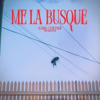 Me la busque (feat. Lyon Town) - Single - Alarrr