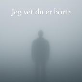 Jeg vet du er borte