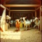Shake Your Sillies Out (Country Style) - Romy Jeanne lyrics