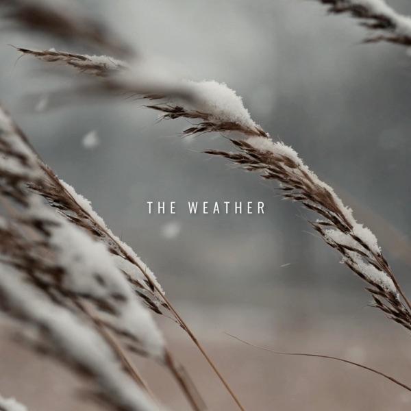 The Weather