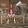 Album cover of BMXXing by Machine Gun Kelly
