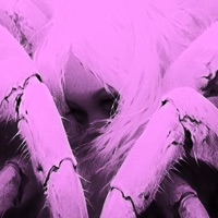 Locker Room Load (feat. QT) - Single - Onik