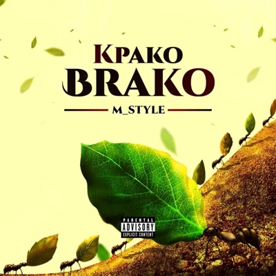 Kpako Brako - Single