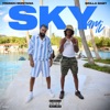 Skyami cover art