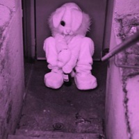 Bvnnys Lost Tapes - Single - LilBvnnyx