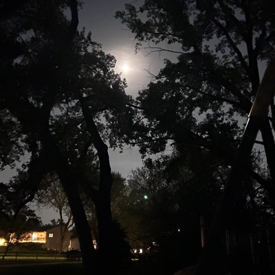 imy (feat. sara) - Single