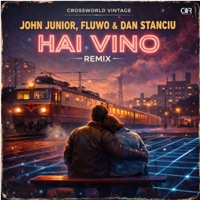 Hai Vino - Single - John Junior, Fluwo & Dan Stanciu