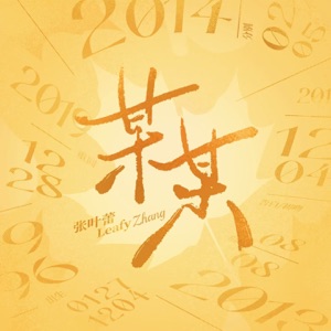 某某 (非官方小说发烧友追星歌曲, 伴奏)