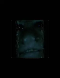 Ascolta Stef, guarda video musicali, leggi la biografia, vedi le date del tour & altro!