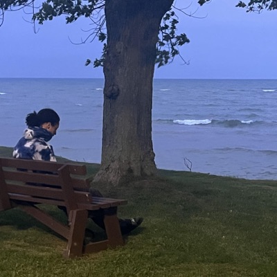 Dangerous Luxory - Single