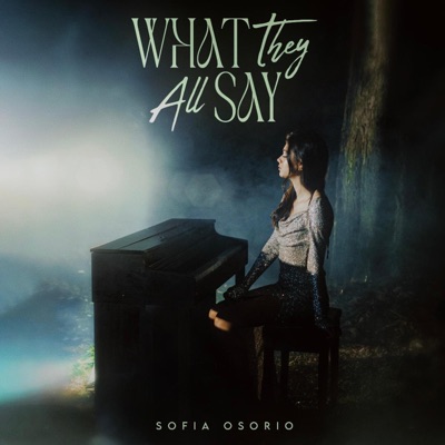 What They All Say - Single