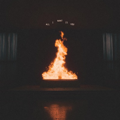 All I Want Is You - Single