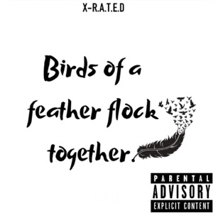 Birds Of A Feather Flock Together (feat. Voc Da Visaman)