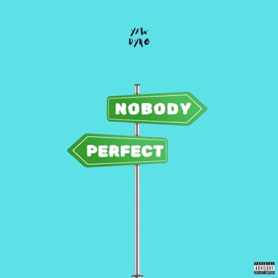 Nobody Perfect - Single