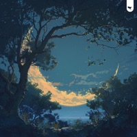 Shelter - Single - Abricot & Colens