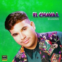 Carmencita (En Vivo) - Single - El Chaval de la Bachata