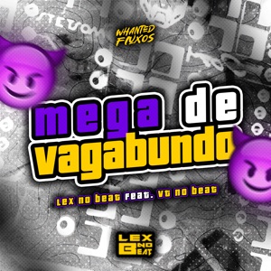 Mega de Vagabundo