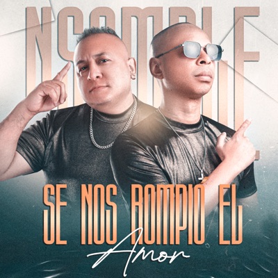 Se Nos Rompió el Amor - Single