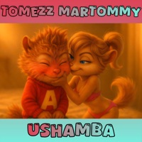 Ushamba - Single - Tomezz Martommy