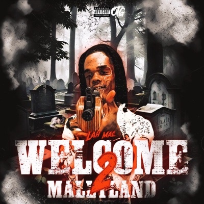 Welcome 2 MallyLand