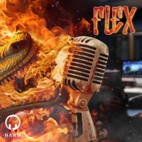 FLEX - Single - HARM
