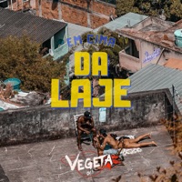 Em Cima da Laje - Single - Vegeta061