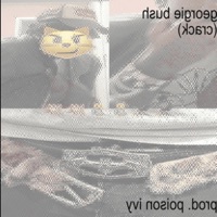 georgie bush* (crack) - Single - poison ivy