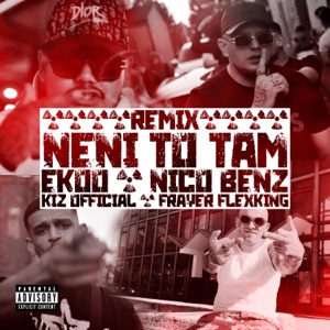 Ekoo Neni To Tam (feat. Nico Benz, Kiz & Frayer Flexking)