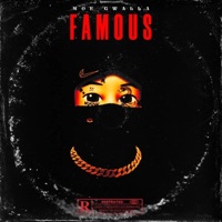 Famous (feat. Bwavvy) - Single - Moe Gwalla