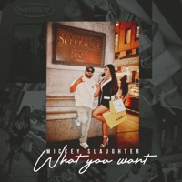 What You Want - Single - Mickey Slaughter