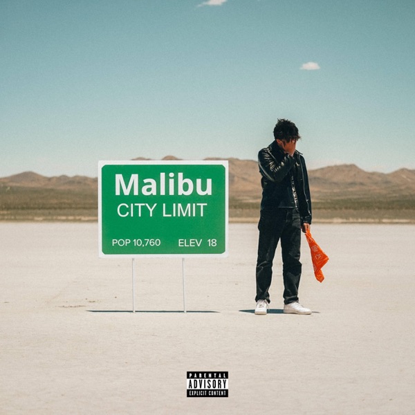 UNA NOCHE EN MALIBU - Single