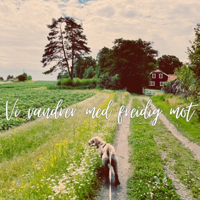 Vi vandrer med freidig mot - Single