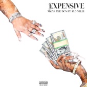 Expensive (feat. Flo Milli) artwork