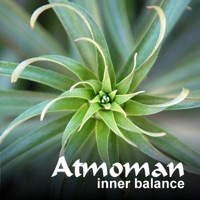 Inner Balance - Single - Atmoman