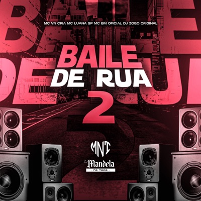 Baile de Rua 2 (feat. MC Luana SP) - Single
