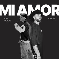 Mi Amor (feat. Juan Palacio) - Single - C4SAS