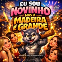 Eu Sou Novinho Mas a Madeira É Grande - Single - Iraqui ZL & Mc Bekka