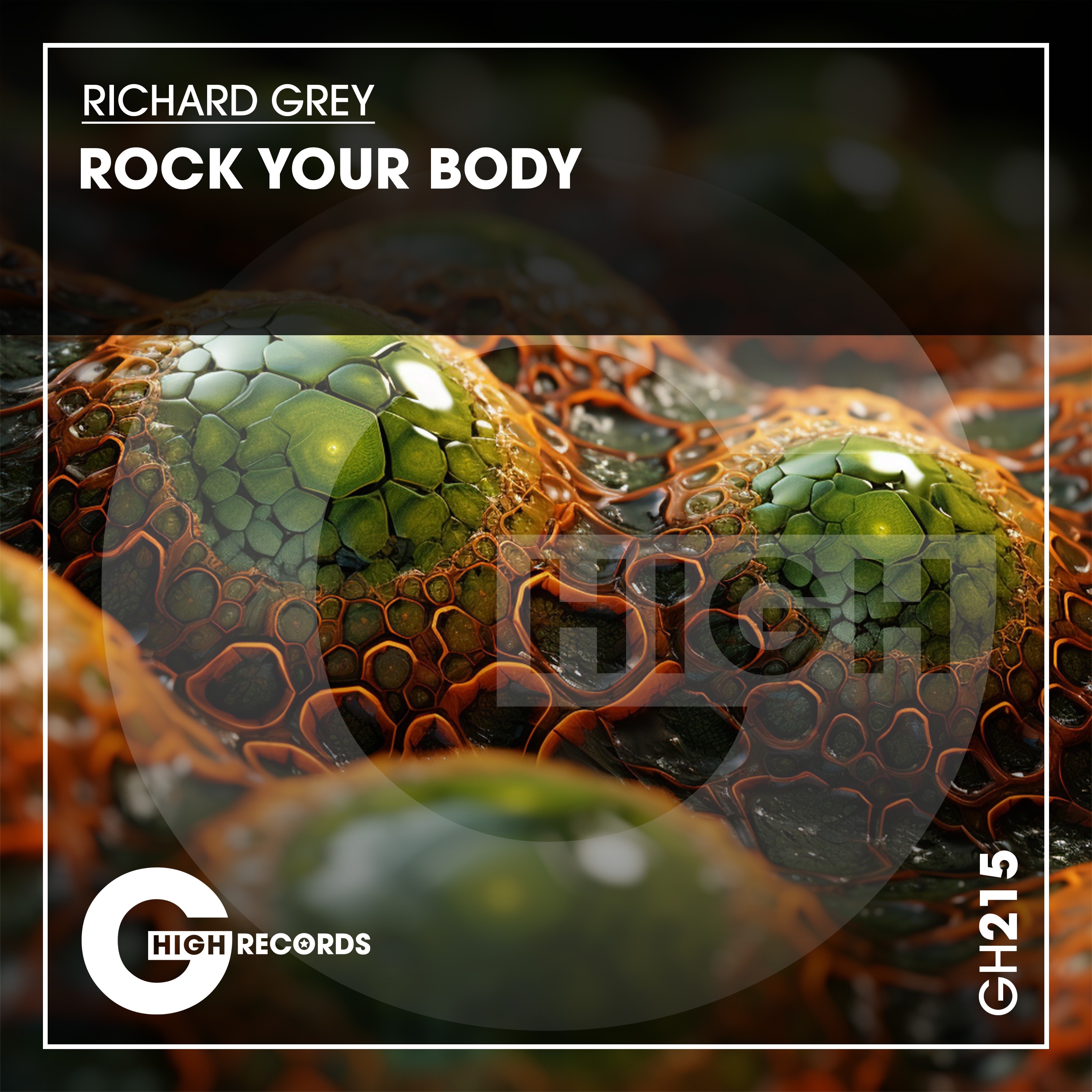 Richard Grey - Rock Your Body - 2025