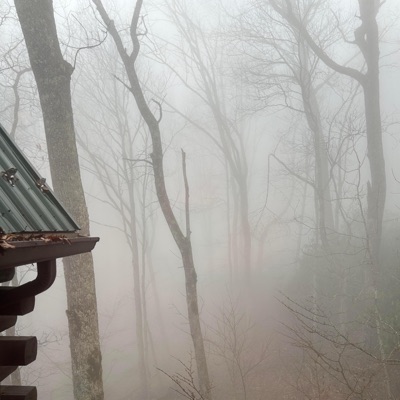 tone down (feat. xstasyslim & Viss) - Single