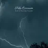 Solis Occasum - Birds & Passing Thunder