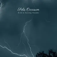 Birds & Passing Thunder — Solis Occasum