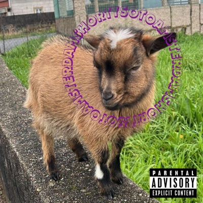 AMSTERDAM SHORTY - Single