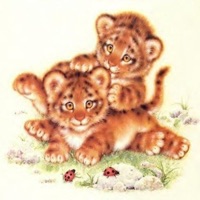 believe - Single - vairrin